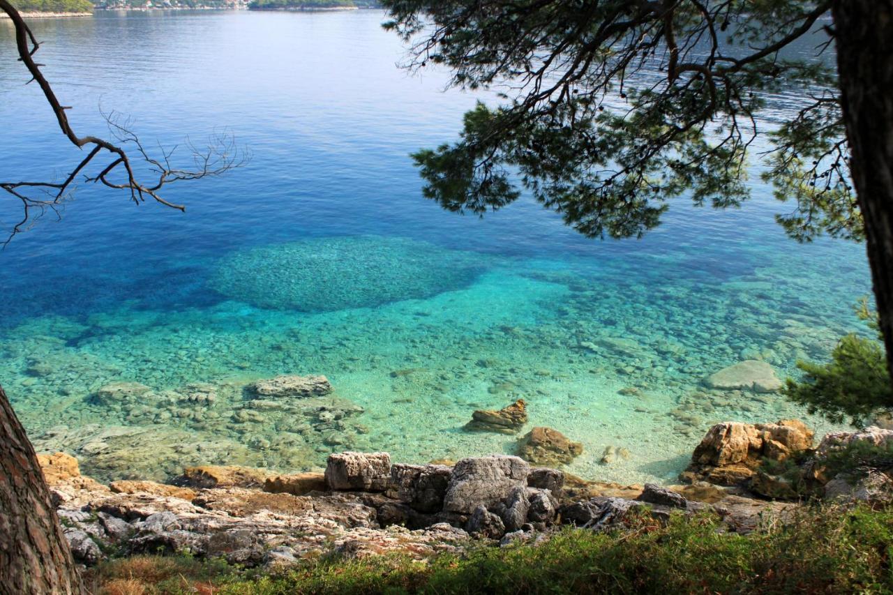 Apartments By The Sea Ubli, Lastovo - 8354 Uble エクステリア 写真