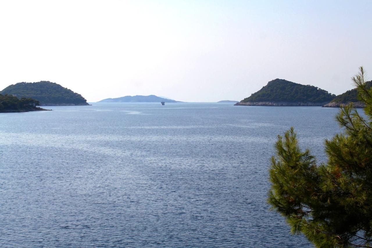 Apartments By The Sea Ubli, Lastovo - 8354 Uble エクステリア 写真